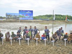 TNI AL Lhokseumawe Tanam 5 Ribu Mangrove di Seunuddon
