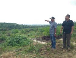 800 Hektare Lahan Warga di Langkahan Dijadikan Plasma, Kades: Dulu Hanya Hutan Belantara