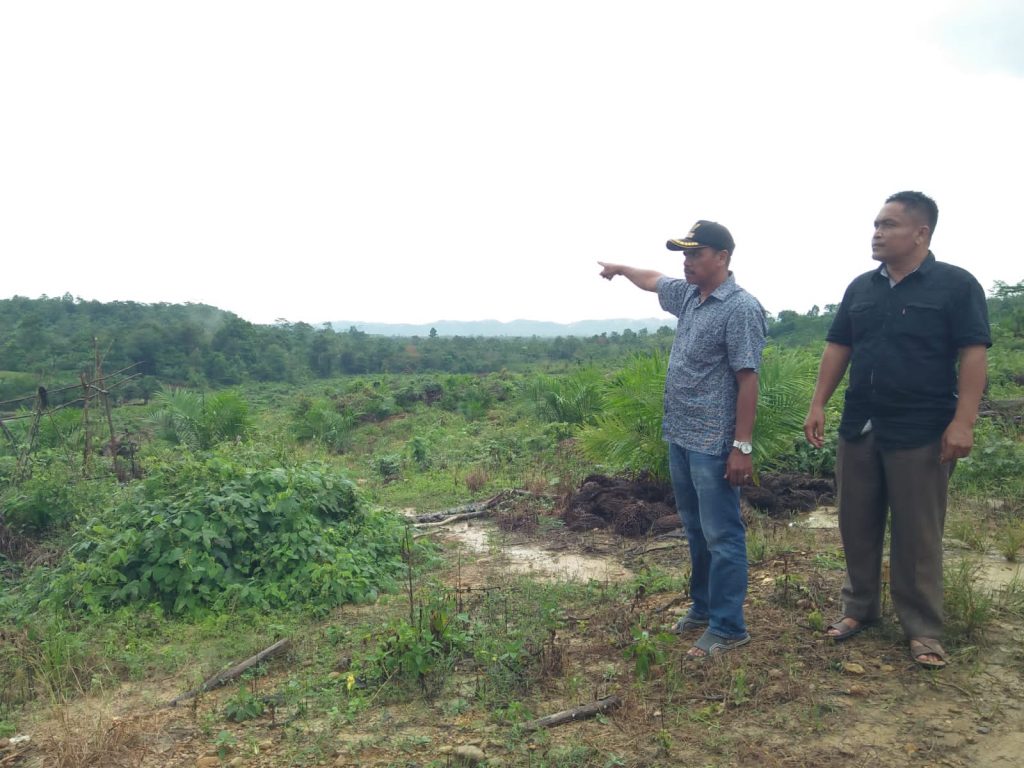 Keuchik Lubok Pusaka, Kecamatan Langkahan, Aceh Utara, menunjukkan areal lahan untuk plasma. Foto: tim durasi
