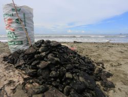 Batu Bara Tumpah di laut, FJL Desak Pemerintah Aceh Awasi Kinerja PT Mifa Bersaudara