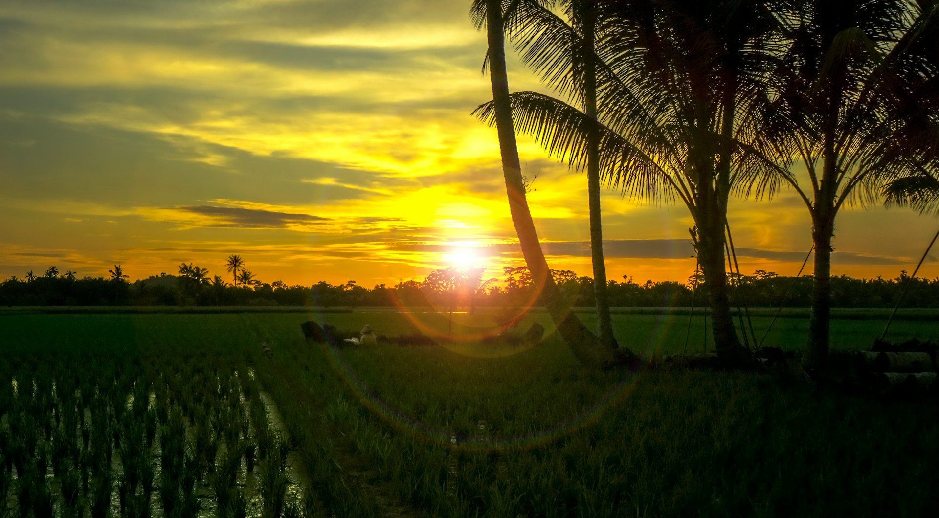 Laporan Cuaca: Hujan Bayangi Jabodetabek, Kabut dan Polusi Selimuti Delhi